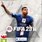 The Falconeer Warrior Edition (Gra NS)