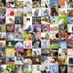 Heroes of Might & Magic III 3 HD Edition (Digital)