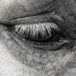 Najnowszy hit: łóżko tapicerowane 160×200 ze stelażem beżowe welur Bali – luksusowy dodatek do Twojej sypialni!